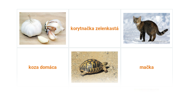 Ľudské obydlia a okolie: mix