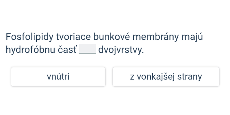 Buňka: pokročilejší souvislosti