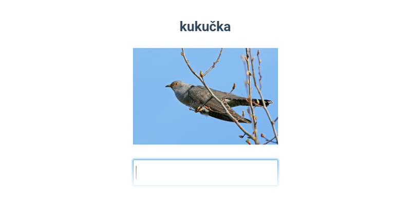 Vtáci